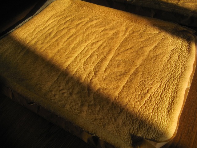 f0202703_21342467.jpg