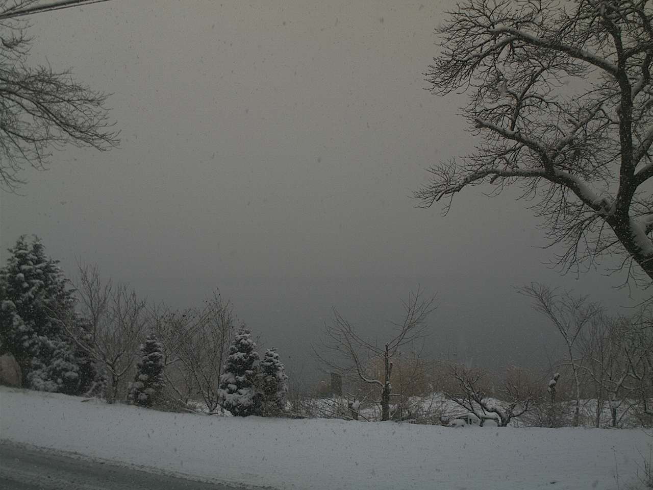 a0188405_11503375.jpg