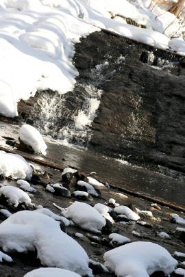 f0041606_2081098.jpg
