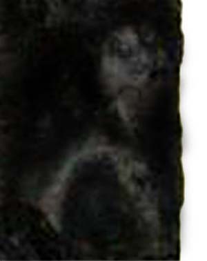 e0103408_14481014.jpg