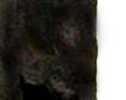 e0103408_14592439.jpg