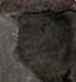 e0103408_150517.jpg