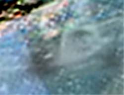 e0103408_152272.jpg