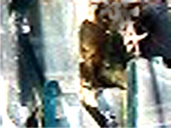 e0103408_1523442.jpg
