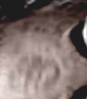 e0103408_15272326.jpg