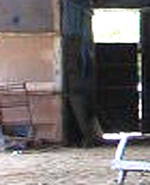 e0103408_1531146.jpg