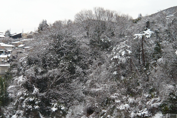 f0221708_2112986.jpg