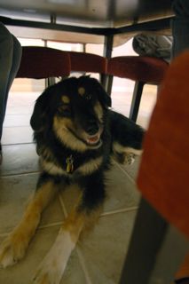 f0227709_17394571.jpg