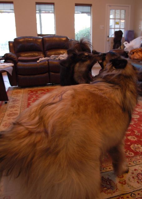 f0227709_1749479.jpg