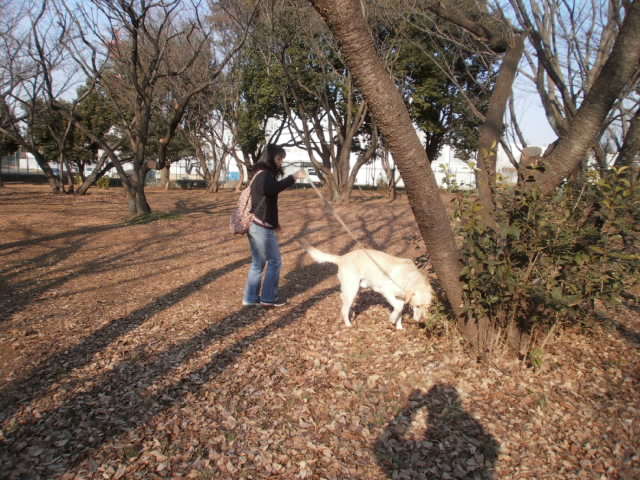 c0116610_13174540.jpg
