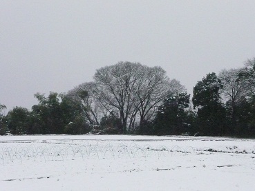 c0146714_13431114.jpg