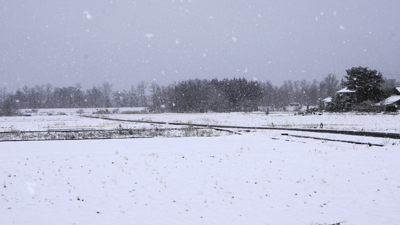 f0233414_2125283.jpg