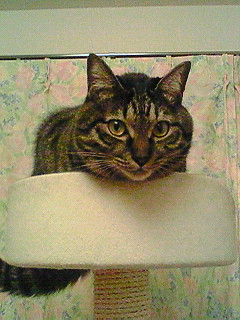 c0145016_20405680.jpg