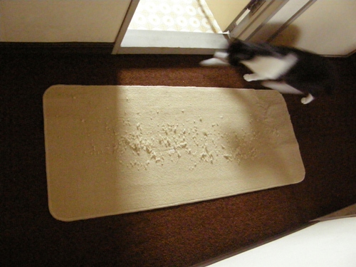 c0158916_18321276.jpg