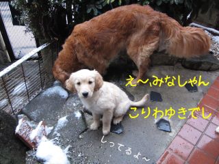 b0008217_22285871.jpg