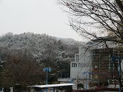 f0191517_10504613.jpg