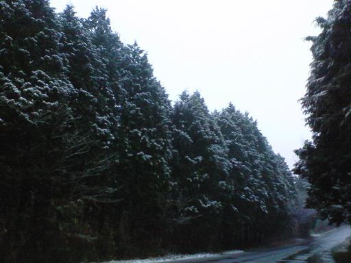 c0097620_20112447.jpg