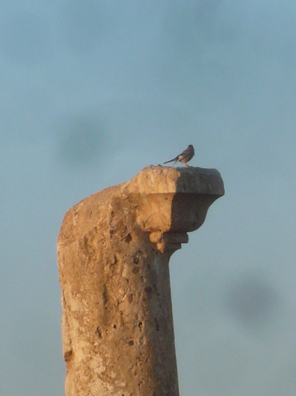c0112823_19241649.jpg