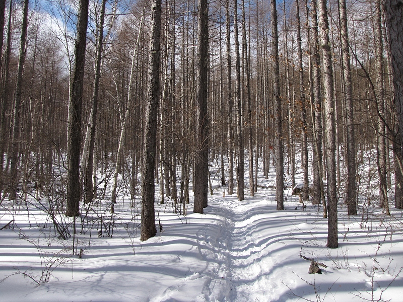 b0097836_16154649.jpg