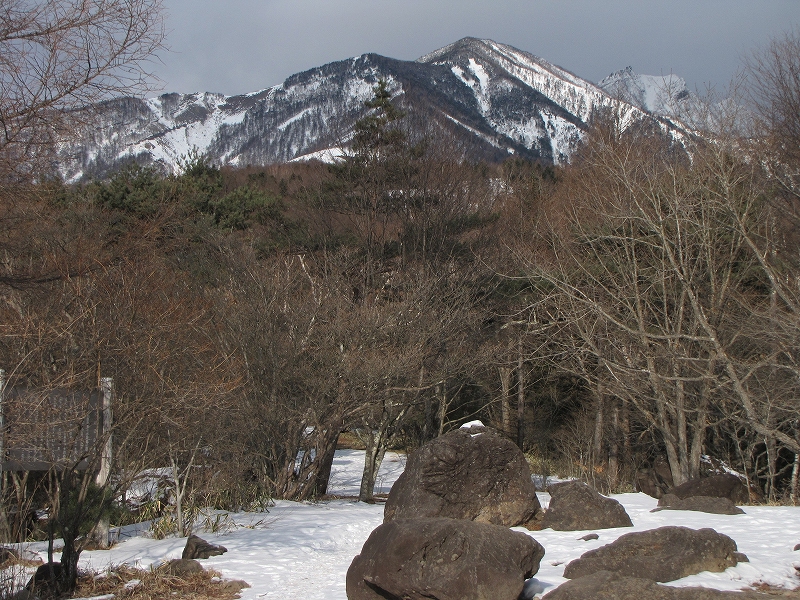 b0097836_174460.jpg