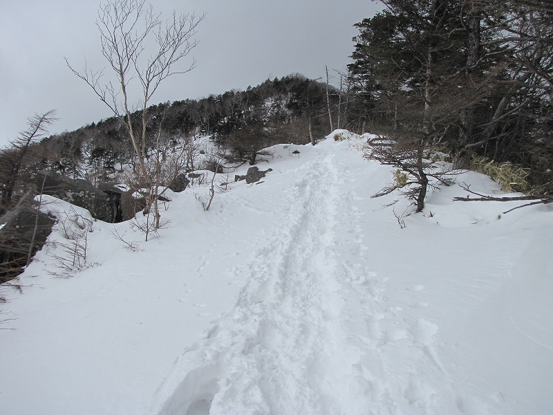 b0097836_1784038.jpg