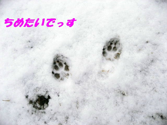 a0149240_10265188.jpg