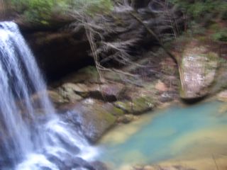 f0107640_8355938.jpg