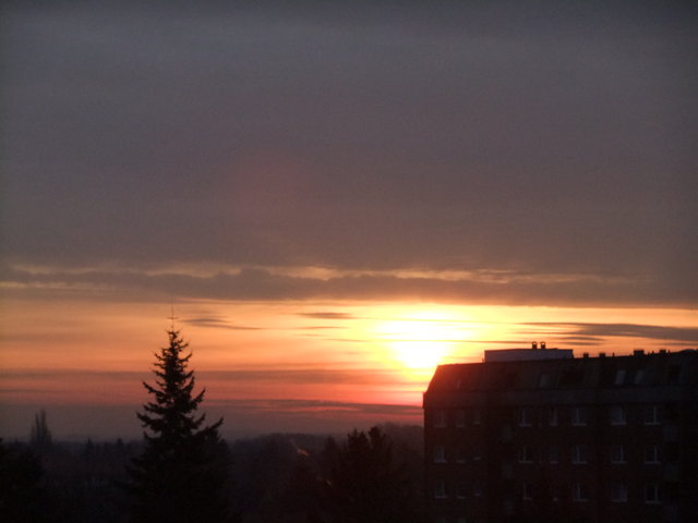 f0210340_5304446.jpg