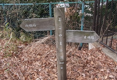 b0120541_18234598.jpg