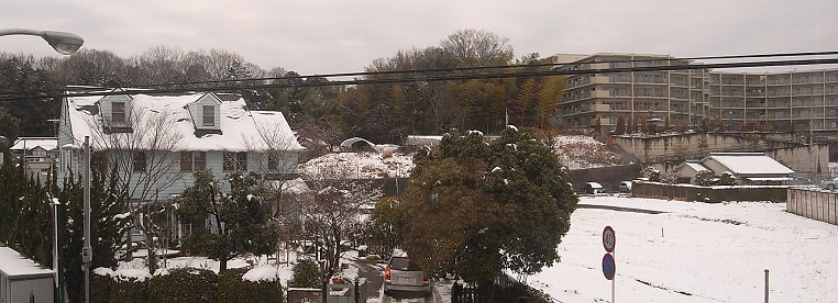 a0116442_16371932.jpg
