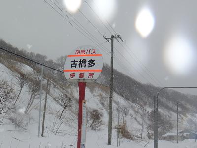 a0156548_2022419.jpg