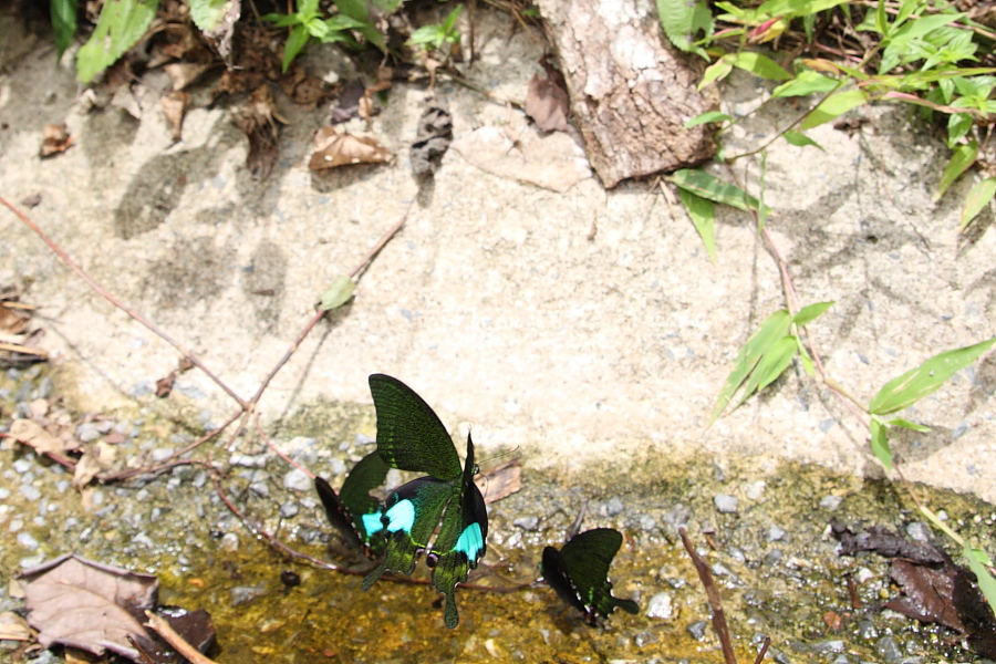 a0094850_9102149.jpg