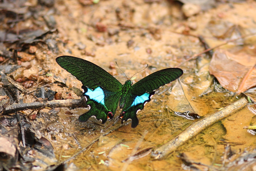 a0094850_9104597.jpg