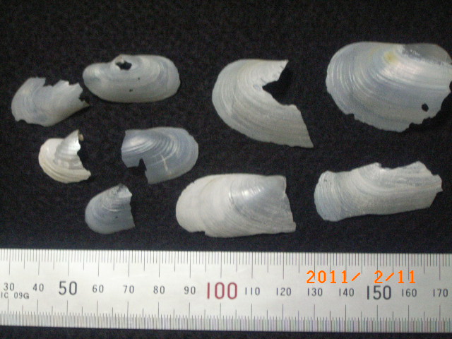 a0157451_20374582.jpg