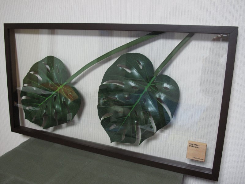 e0083751_1633369.jpg