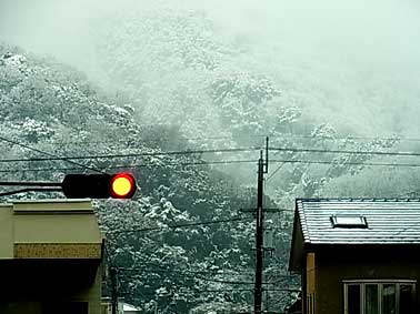 d0029958_13163381.jpg