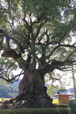 c0213764_062866.jpg