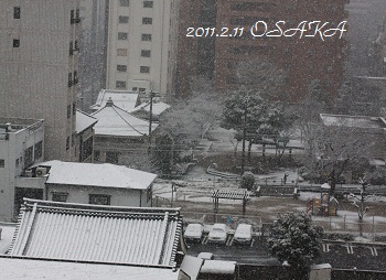 f0200568_1728858.jpg