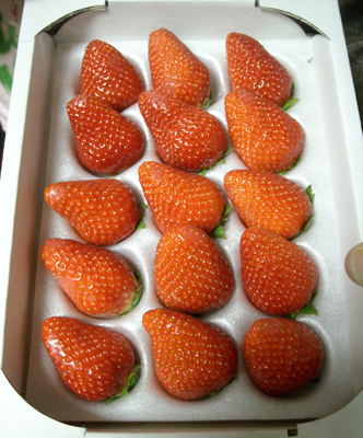 e0097770_1551286.jpg