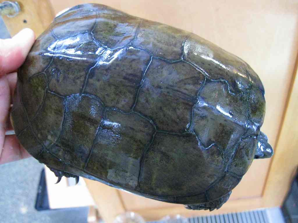 e0099576_17271612.jpg