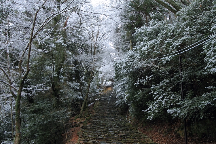 e0051888_21383450.jpg