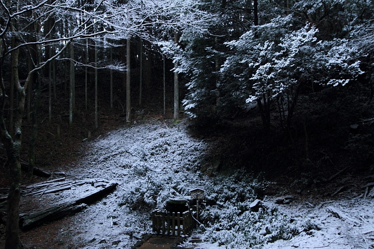 e0051888_21424060.jpg