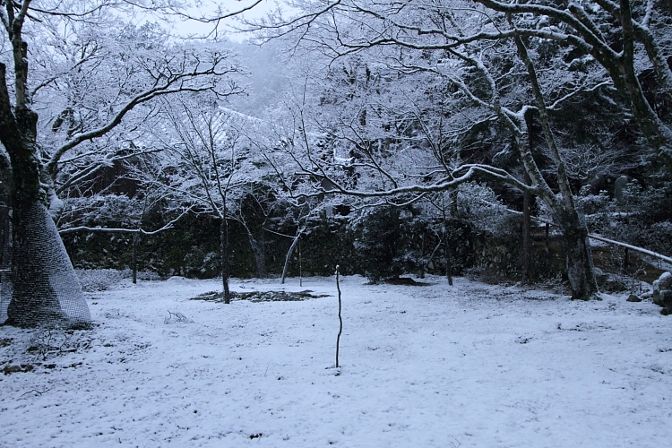 e0051888_21432411.jpg