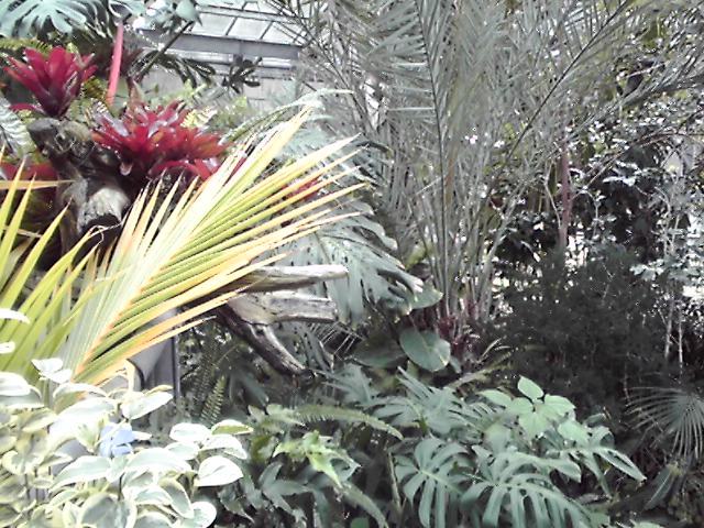 a0186689_2110642.jpg