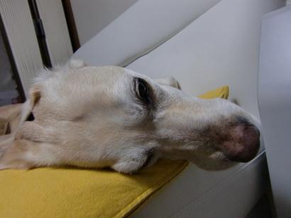 c0028792_23171367.jpg