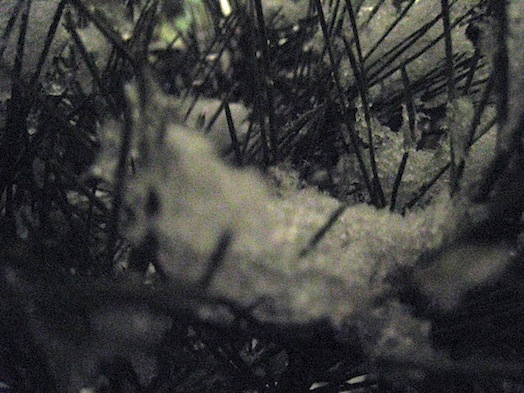 e0197895_18271538.jpg