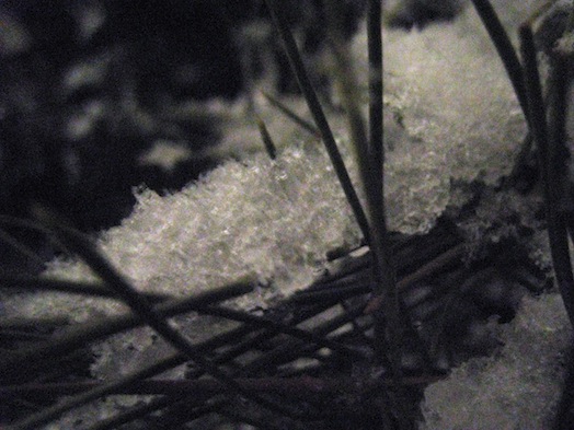 e0197895_18284354.jpg