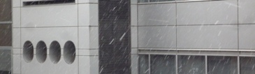 c0168096_816881.jpg