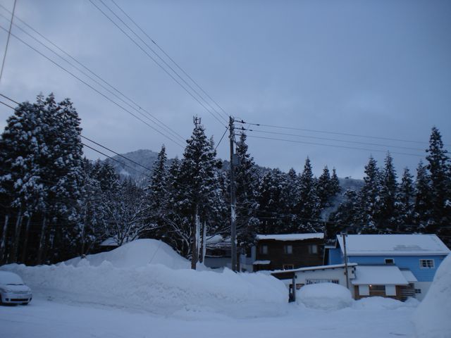 a0061599_7254731.jpg