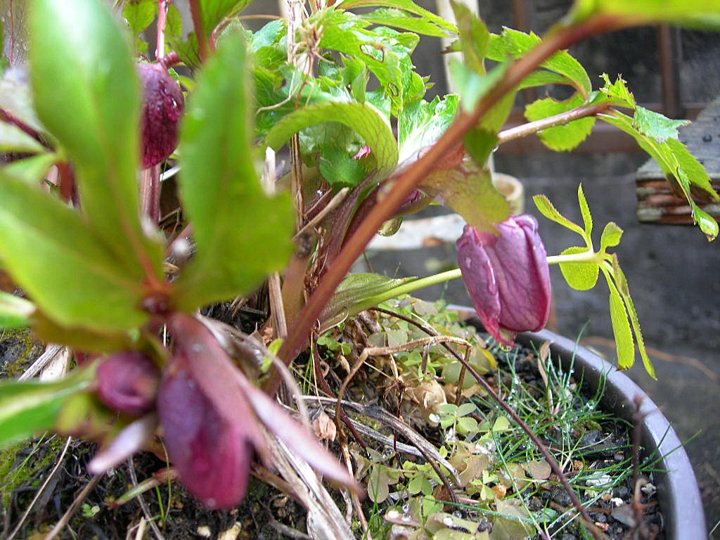 c0220700_22185772.jpg